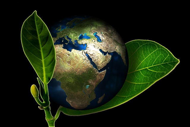 Beni Bana Bırakın!