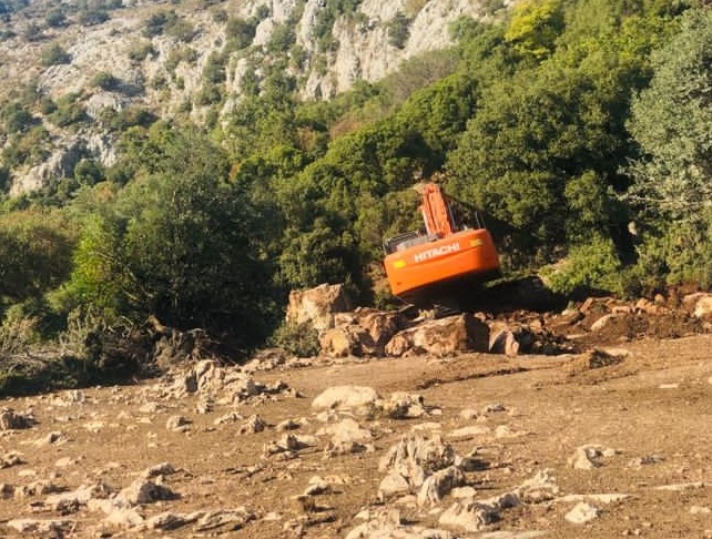 Ağaçlar Kesiliyor Diyenlere Vedat Dikici'den Açıklama!